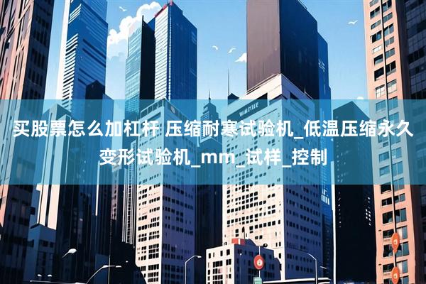 买股票怎么加杠杆 压缩耐寒试验机_低温压缩永久变形试验机_mm_试样_控制