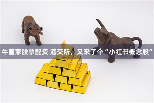 牛管家股票配资 港交所，又来了个“小红书概念股”