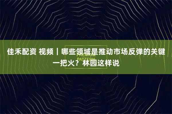 佳禾配资 视频｜哪些领域是推动市场反弹的关键一把火？林园这样说